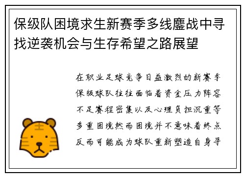 保级队困境求生新赛季多线鏖战中寻找逆袭机会与生存希望之路展望